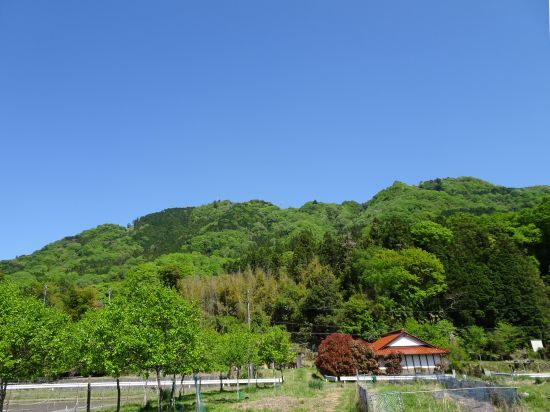 神ノ倉山