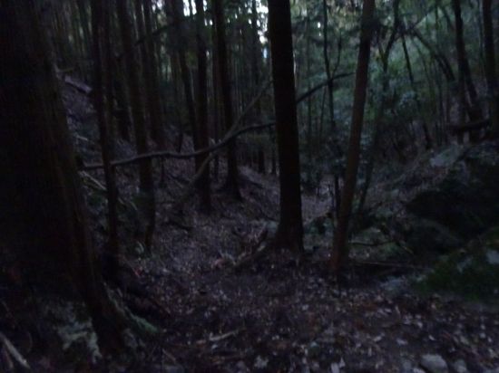 鬼ヶ城山